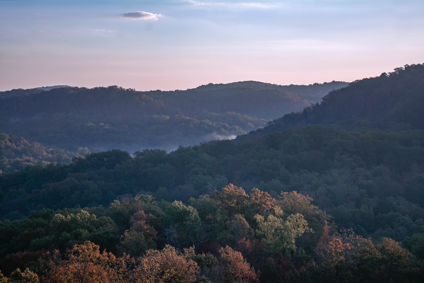 How Kentucky Shaped My Unique Journey